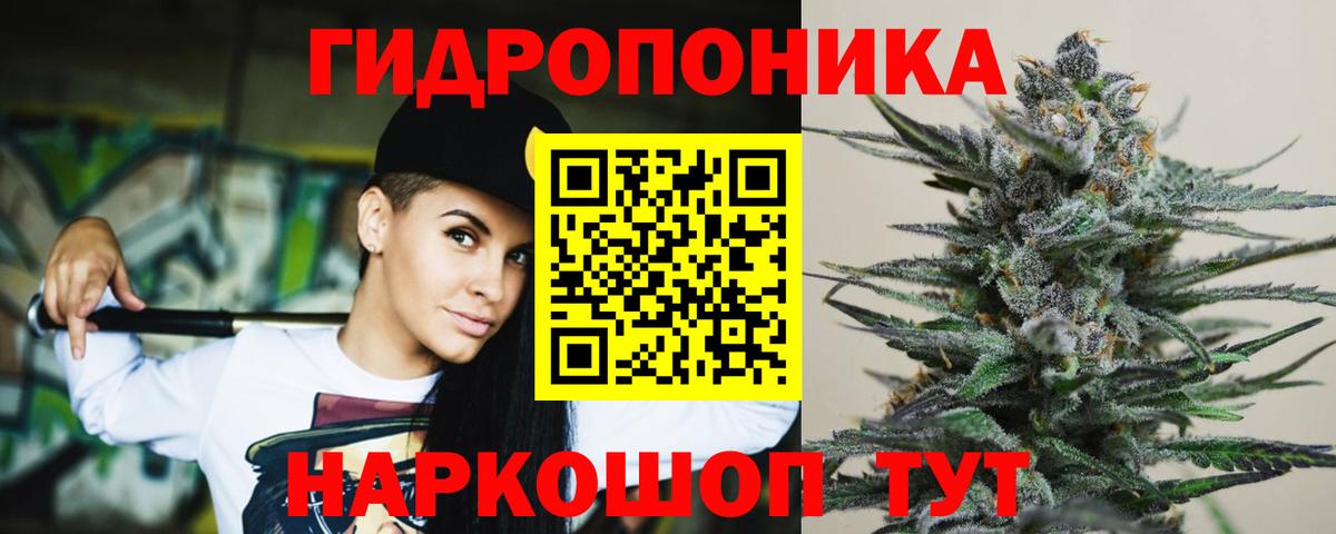 Конопля конопля Уссурийск